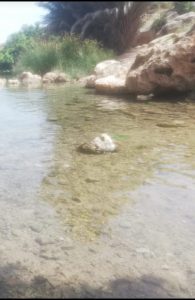 واد فاس