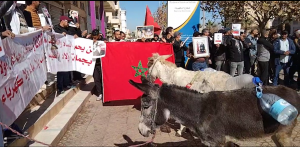الوقفة الموازية التي نظمها المتضررون امام وكالة الـONEE